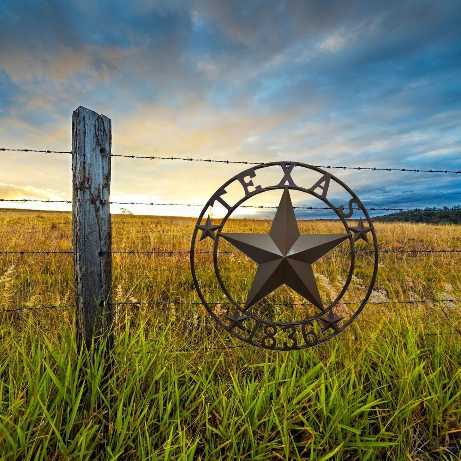 Rustic Metal Circle Texas Lonestar 1836 Wall Hanging Welcome Decor Sign Plaque
